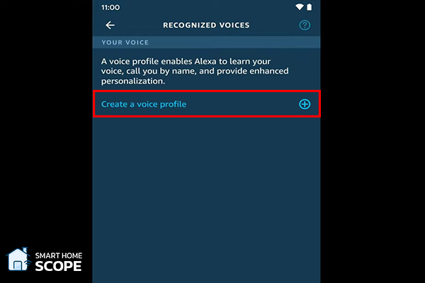 After that, choose Create a voice profile