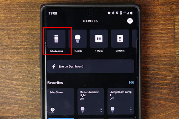 After that, choose "Echo & Alexa"