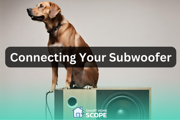 connecting your subwoofer