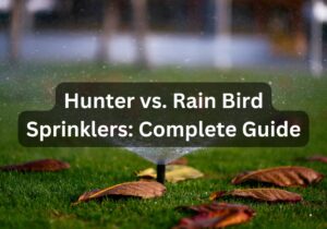 Hunter vs. Rain Bird