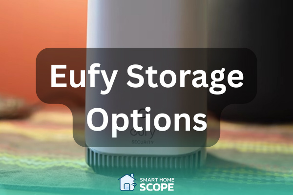 Eufy is the king of local storage