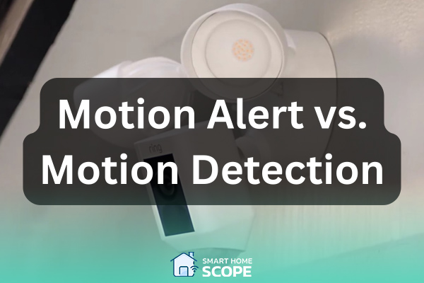 Motion alert vs. motion detection
