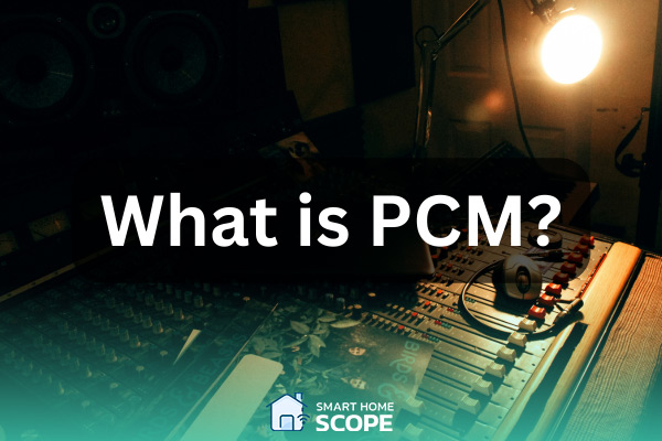 PCM is the simplest way of digitizing the analog signals; PCM vs. Bitstream.