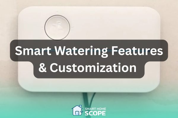 Rachio vs. B-hyve smart watering features