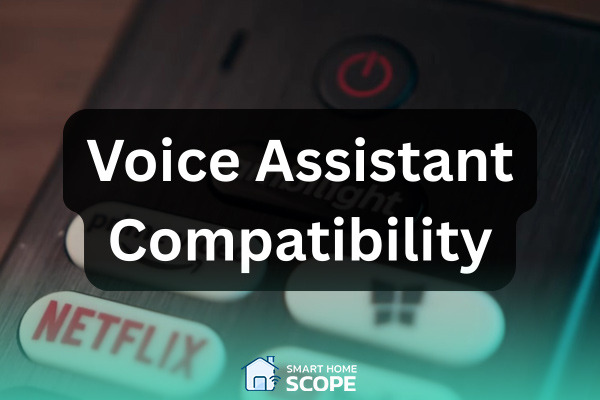 Both Vizio and Philips work with voice assistant, but the Vizio's SmartCast makes things a bit tricky.