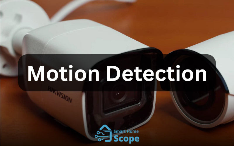 Reolink offers better features in terms of motion detection.