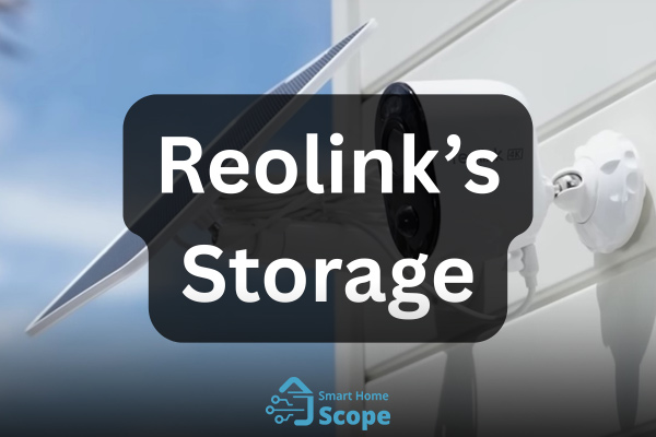 Reolink's storage